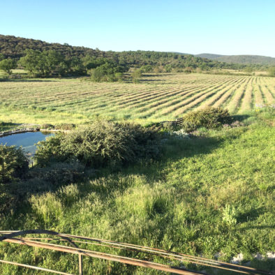 La vue du Mas