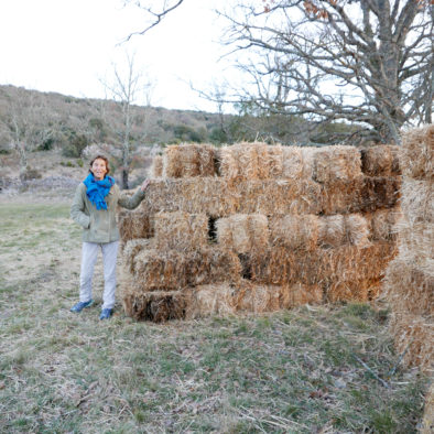 Sauvetage des amandiers