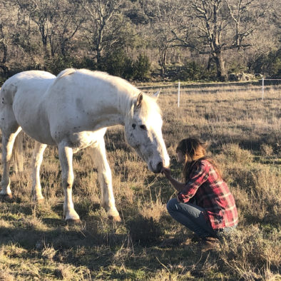 Chevaux